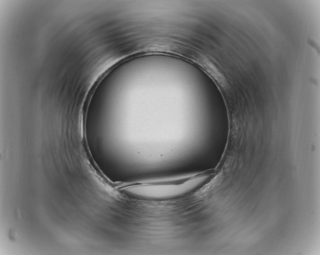 X0000097751036200803211647