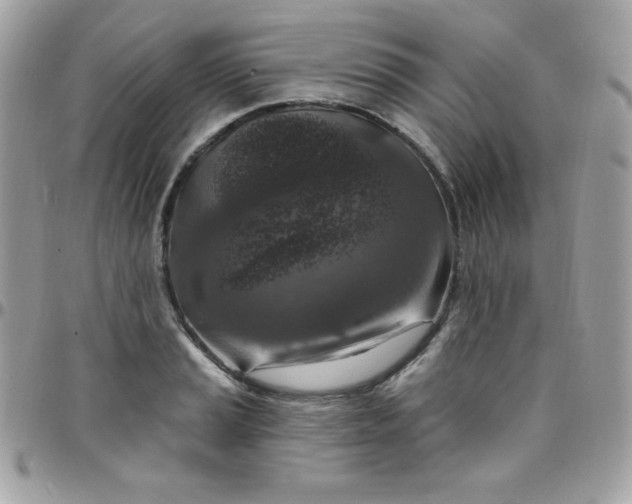 X0000097751037200803211647