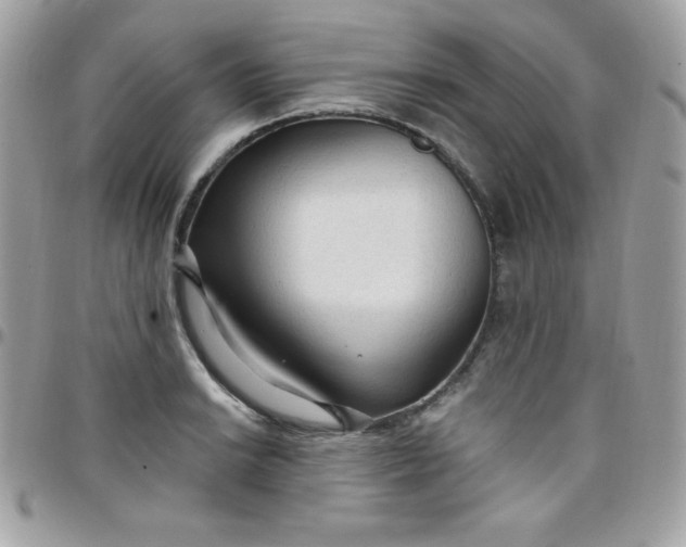 X0000097751038200803211647