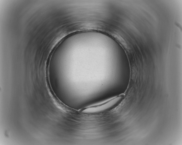 X0000097751039200803211647