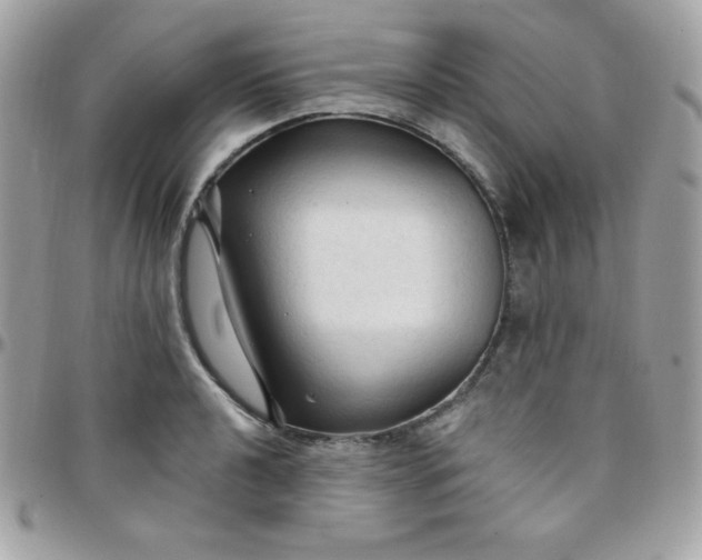 X0000097751040200803211647