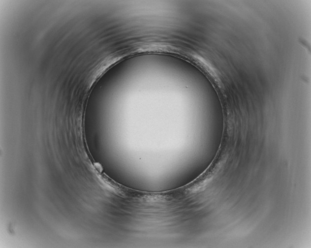 X0000097751041200803211647