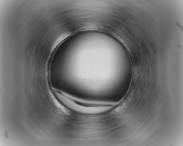 X0000097751042200803211647