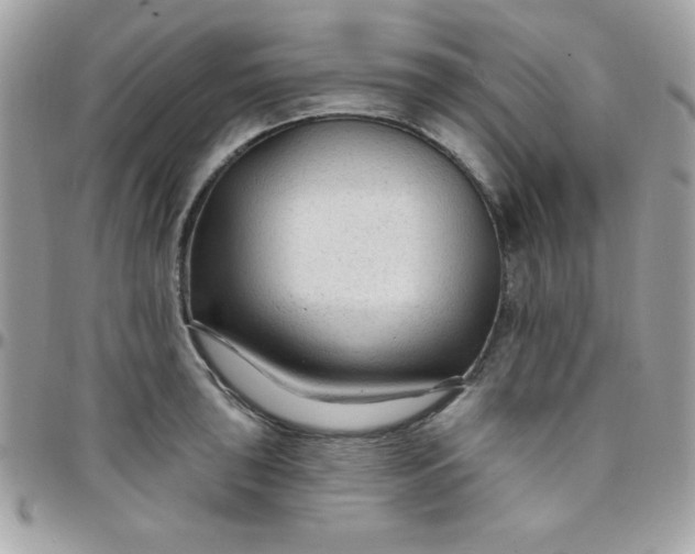 X0000097751043200803211647