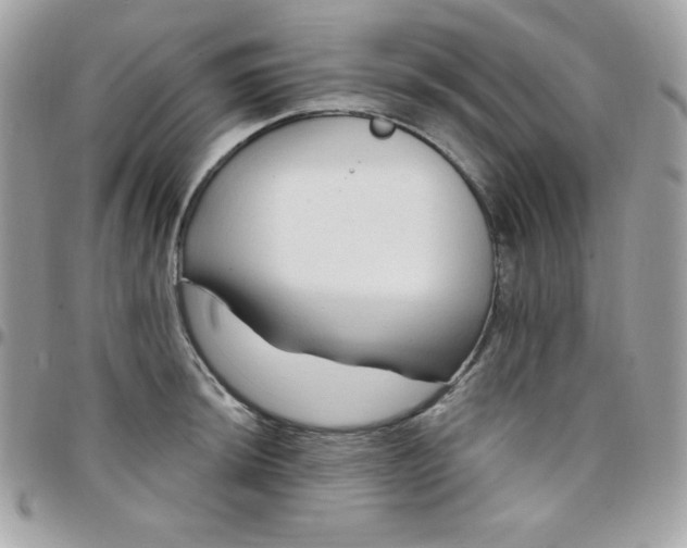 X0000097751044200803211647