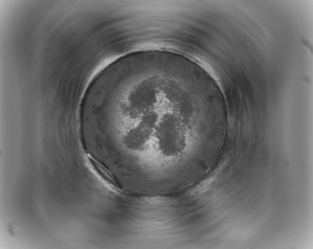 X0000097751045200803211647