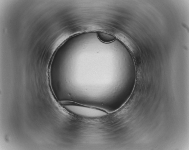 X0000097751047200803211647