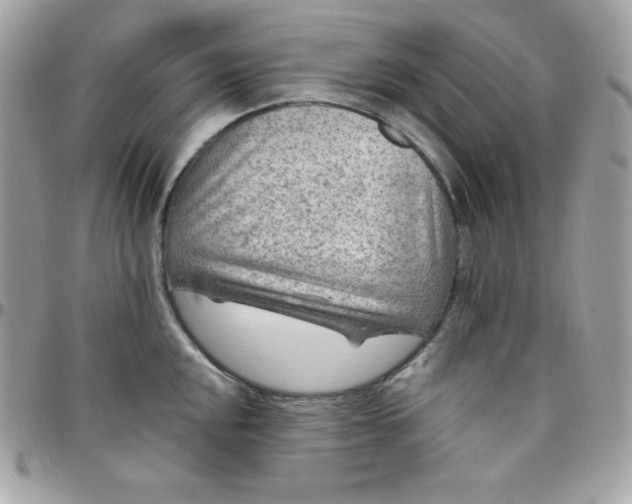 X0000097751048200803211647