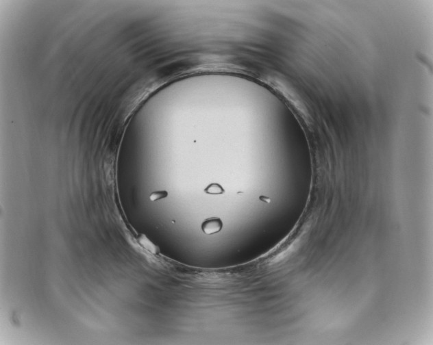 X0000097751049200803211647