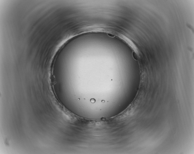 X0000097751051200803211647