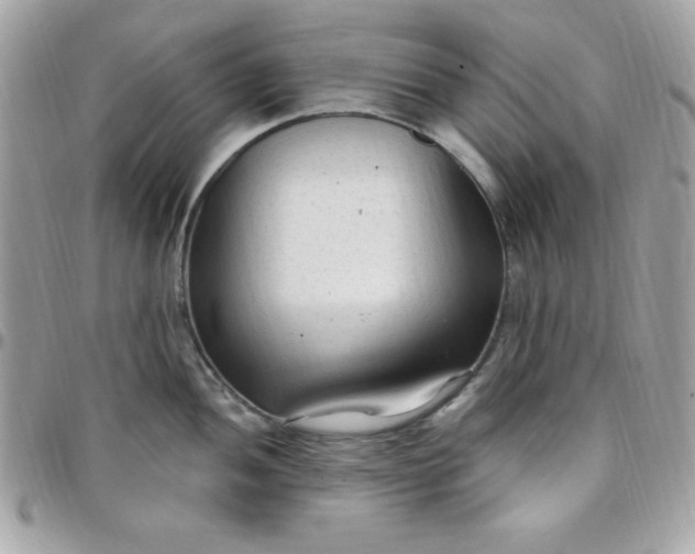 X0000097751052200803211647