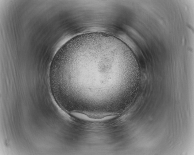 X0000097751055200803211647