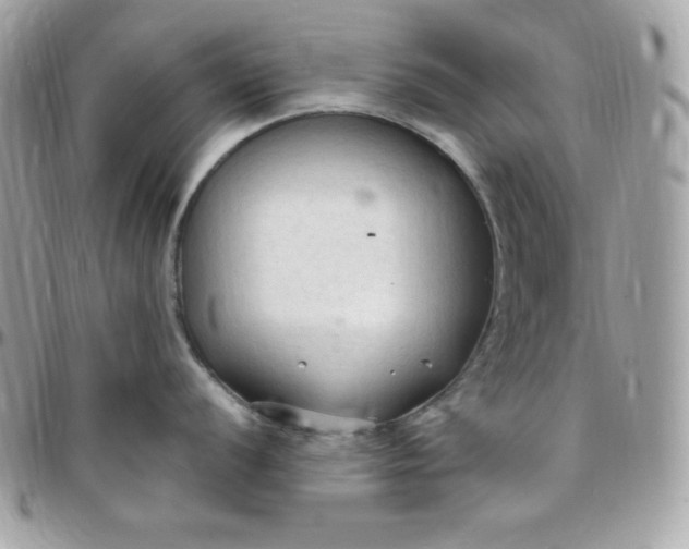 X0000097751056200803211647