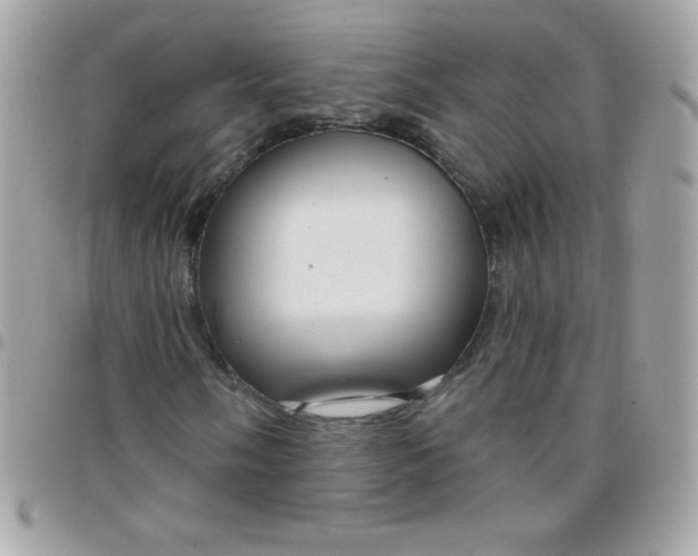 X0000097751058200803211647