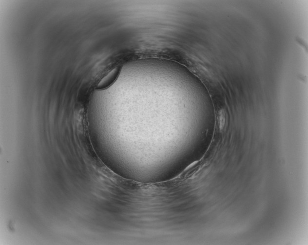 X0000097751059200803211647