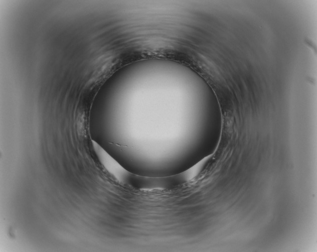 X0000097751060200803211647