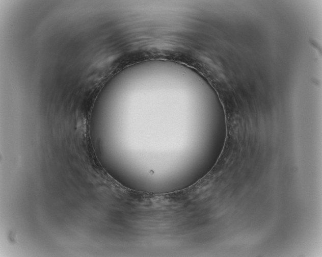 X0000097751061200803211647