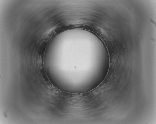 X0000097751062200803211647