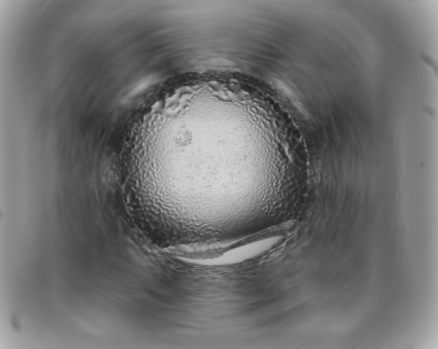 X0000097751063200803211647