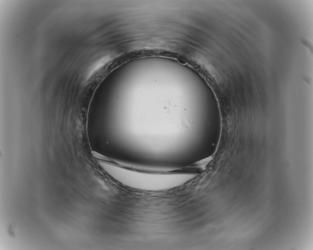 X0000097751064200803211647