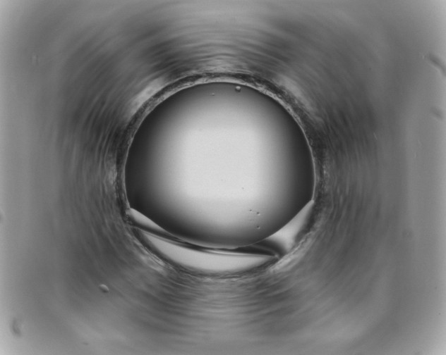 X0000097751065200803211647