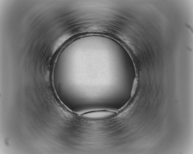 X0000097751066200803211647