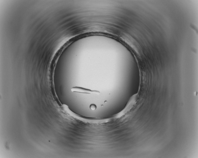 X0000097751068200803211647