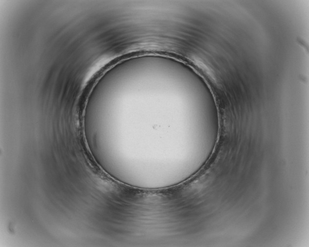 X0000097751070200803211647