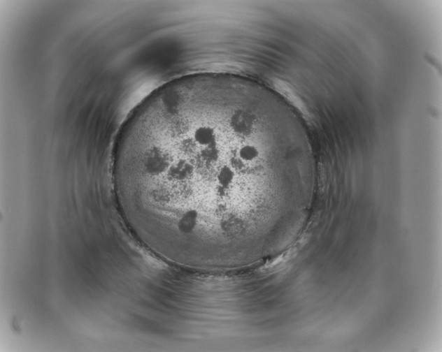 X0000097751071200803211647