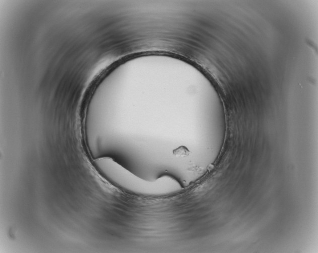 X0000097751072200803211647