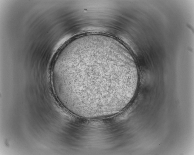 X0000097751074200803211647