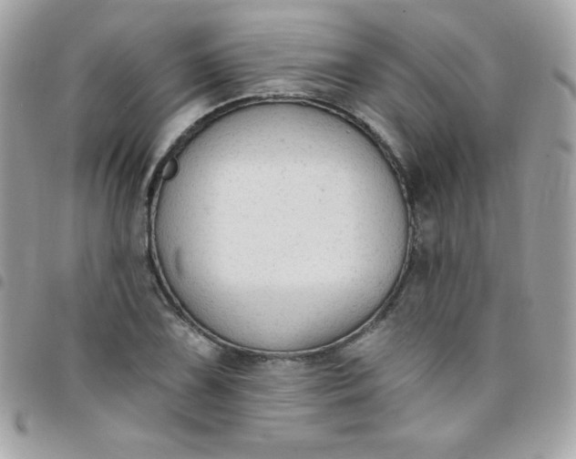 X0000097751075200803211647