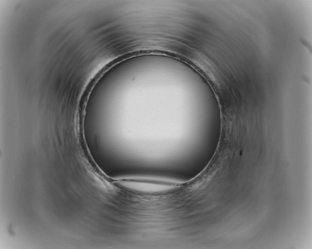 X0000097751076200803211647