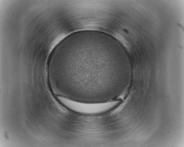 X0000097751077200803211647