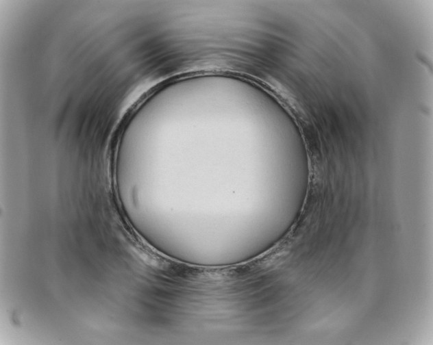 X0000097751078200803211646