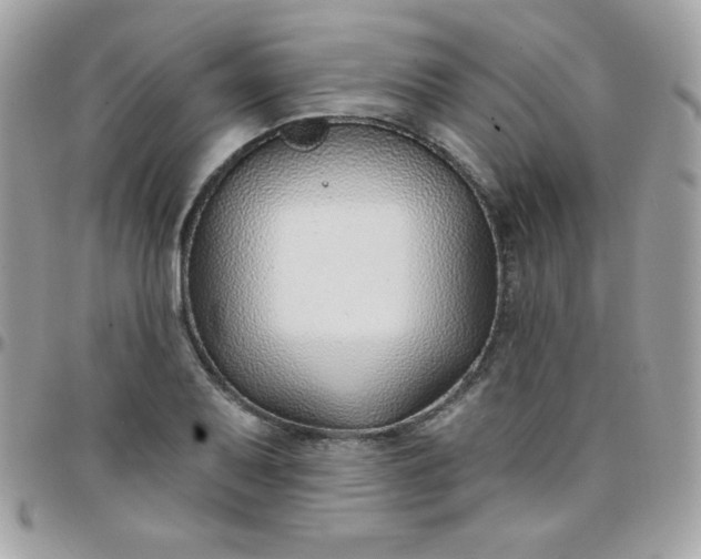 X0000097751079200803211646