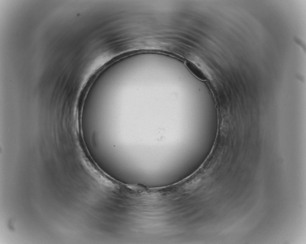 X0000097751080200803211646