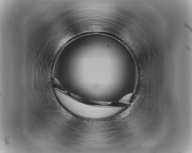 X0000097751081200803211646