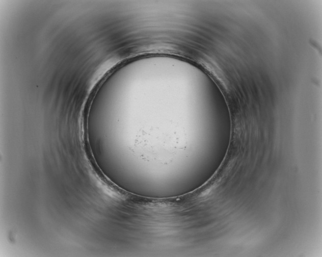 X0000097751082200803211646