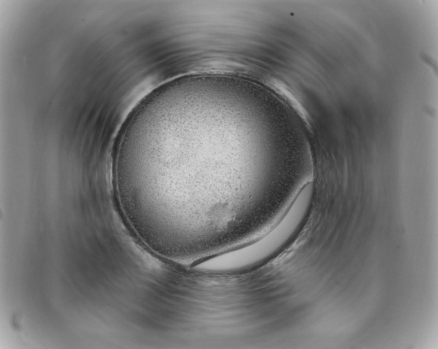 X0000097751083200803211646