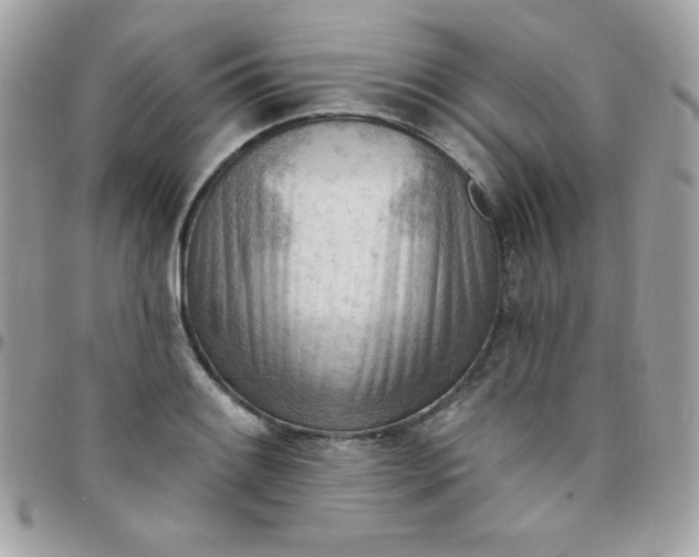 X0000097751084200803211646