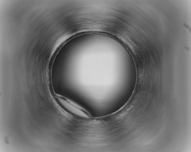 X0000097751085200803211646