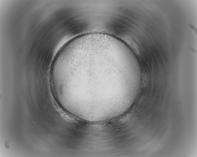 X0000097751086200803211646