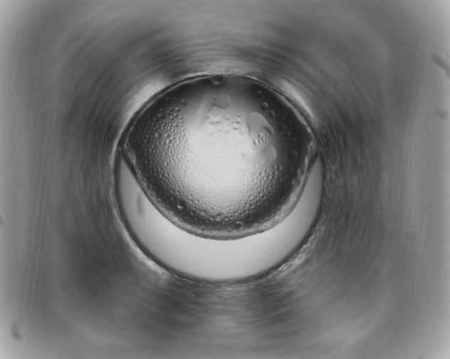 X0000097751087200803211646