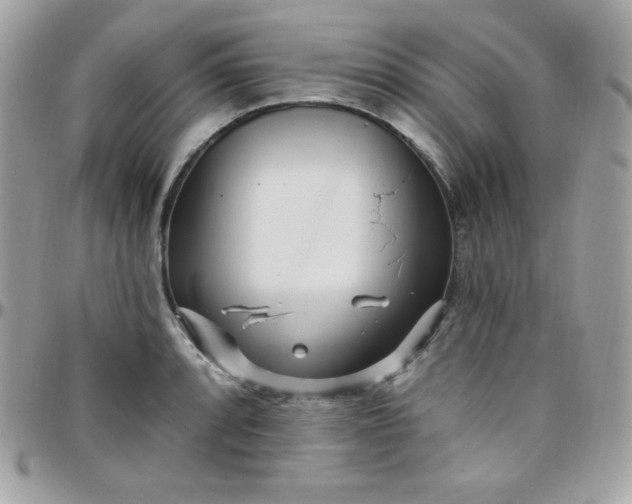 X0000097751088200803211646