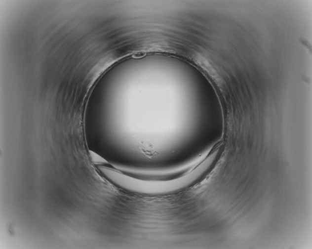 X0000097751089200803211646