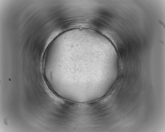 X0000097751090200803211646