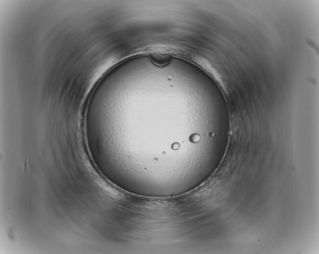 X0000097751091200803211646