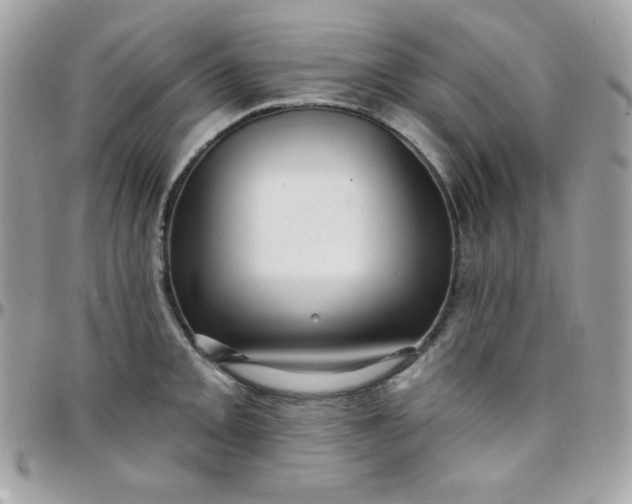 X0000097751093200803211646