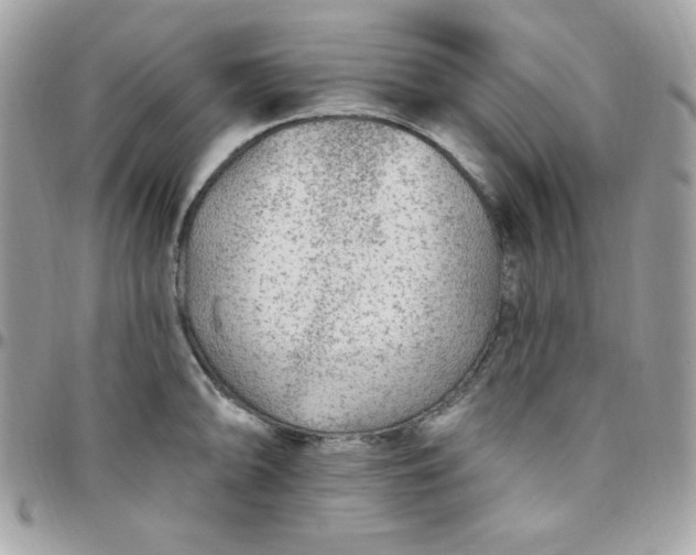 X0000097751094200803211646